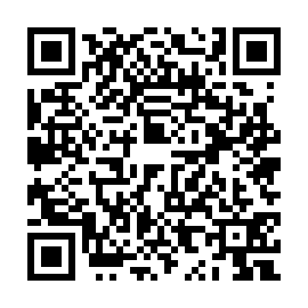 QR code for ZX53314