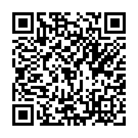 QR code for ZX53383