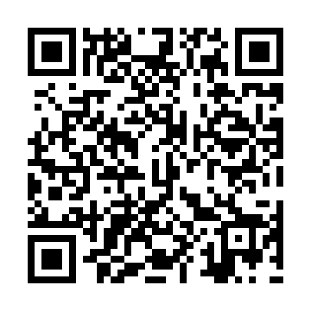 QR code for ZX8828