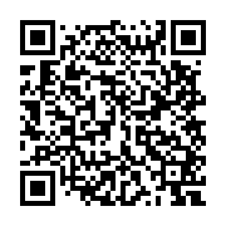 QR code for ZXB540