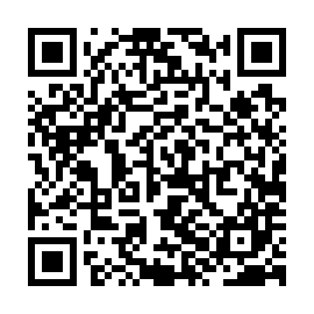 QR code for ZXD787
