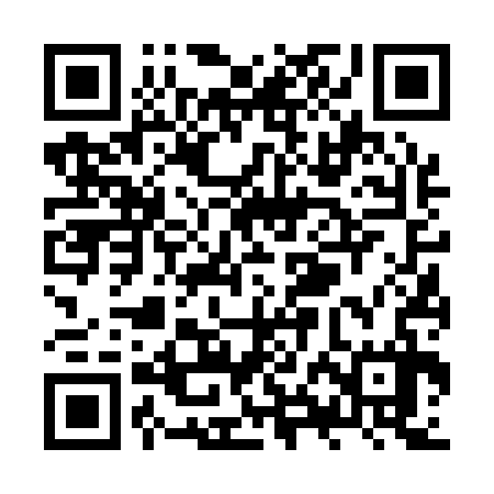 QR code for ZXF137
