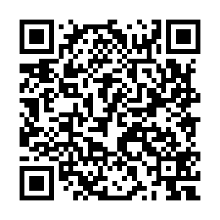 QR code for ZXH919