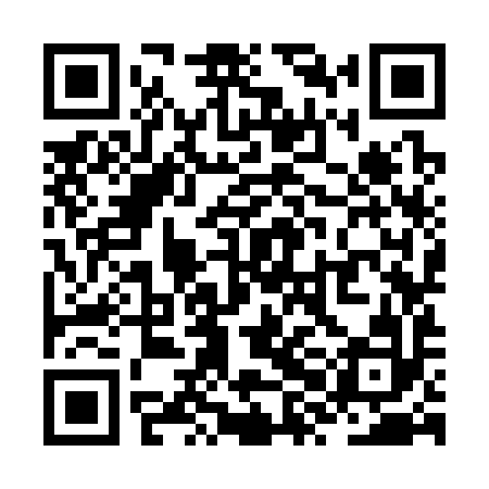 QR code for ZXK392