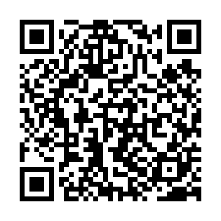 QR code for ZXM600