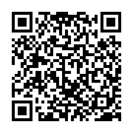 QR code for ZXV291