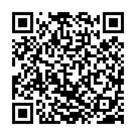 QR code for ZXX419
