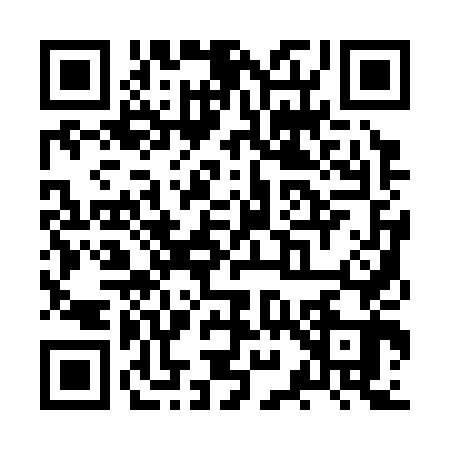 QR code for ZY13433