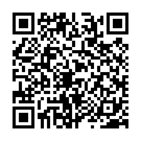 QR code for ZY24313