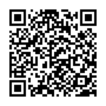QR code for ZY4038