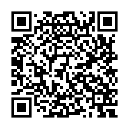 QR code for ZYC966
