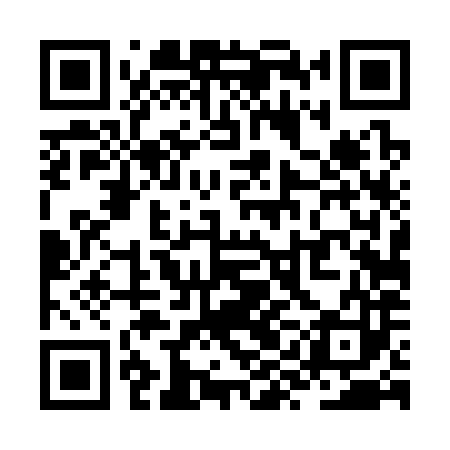QR code for ZYD383