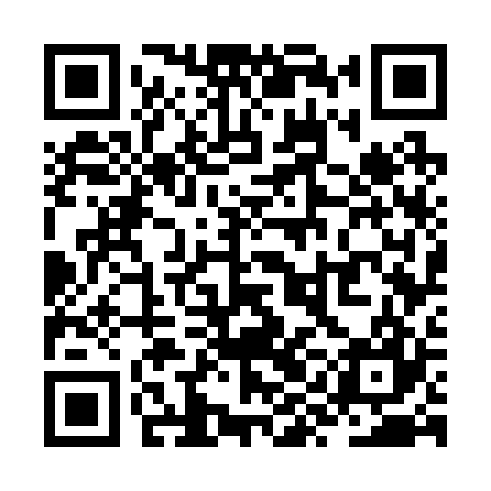 QR code for ZYG227