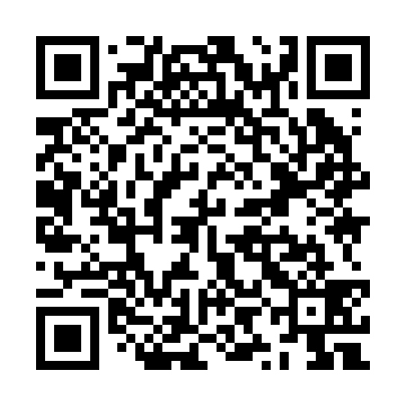 QR code for ZYI239