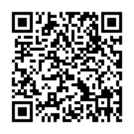 QR code for ZYL809
