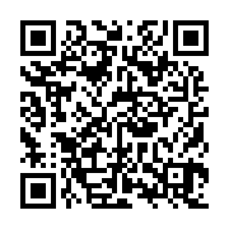 QR code for ZYQ920