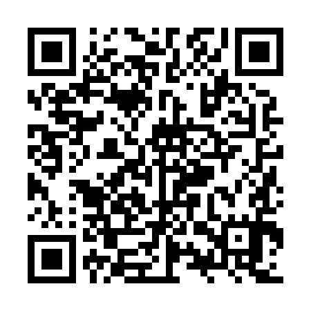 QR code for ZYZ895