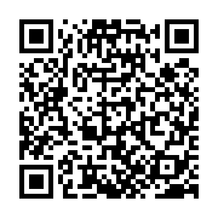 QR code for ZZ3579