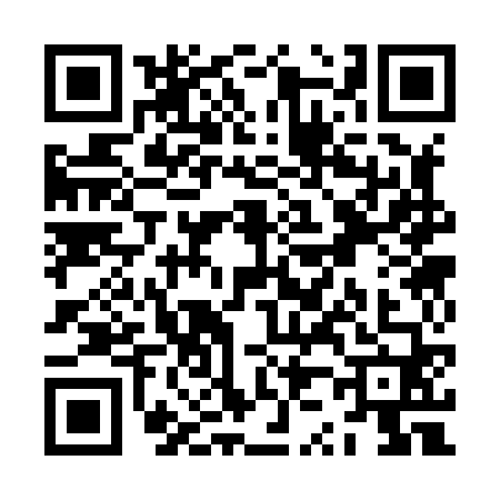 QR code for ZZ38604