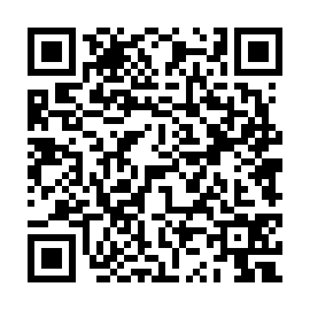 QR code for ZZ46341