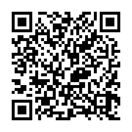 QR code for ZZ4868