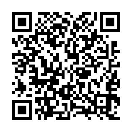QR code for ZZ6653