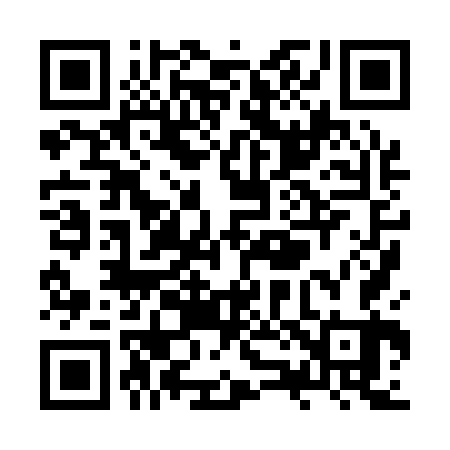 QR code for ZZ8163