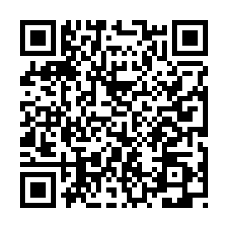 QR code for ZZ82205