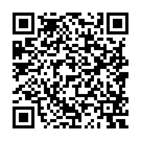 QR code for ZZ89838