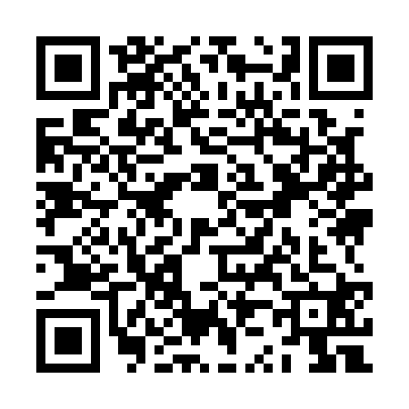 QR code for ZZ91209