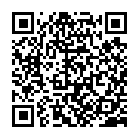 QR code for ZZ9608