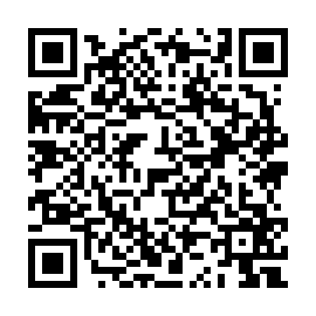 QR code for ZZ96660