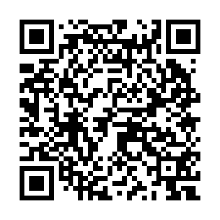 QR code for ZZA250
