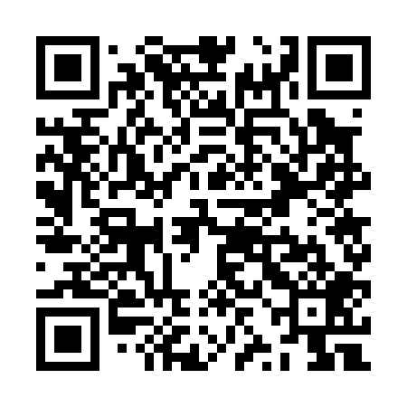 QR code for ZZG009
