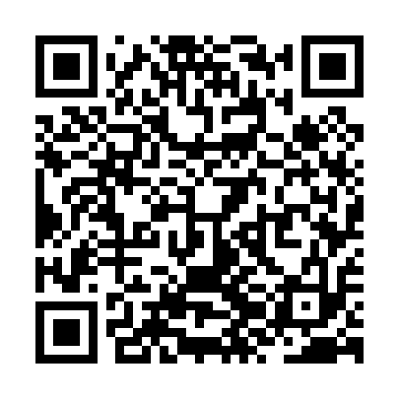 QR code for ZZG013