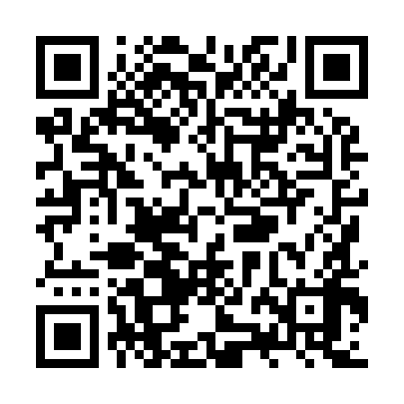QR code for ZZH998