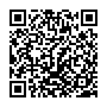 QR code for ZZI300