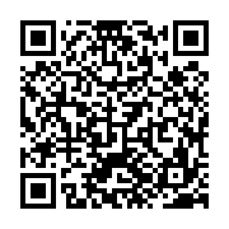 QR code for ZZJ536