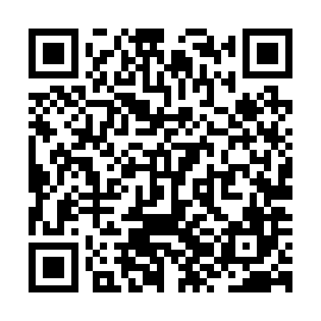 QR code for ZZL286