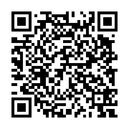 QR code for ZZL428
