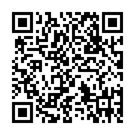 QR code for ZZM113