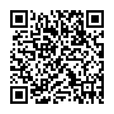 QR code for ZZN584