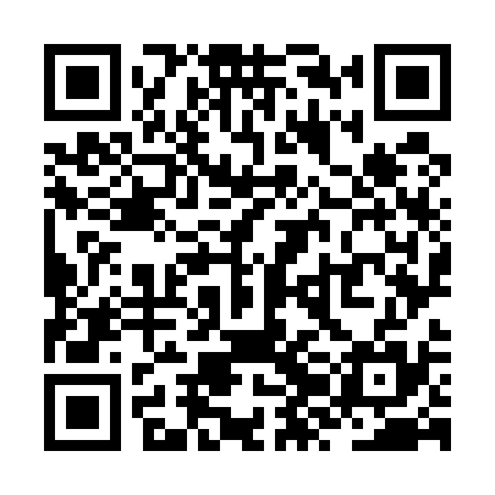 QR code for ZZO535