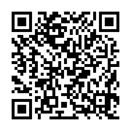 QR code for ZZQ875