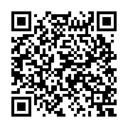 QR code for ZZS300
