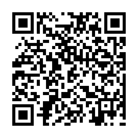 QR code for ZZS355