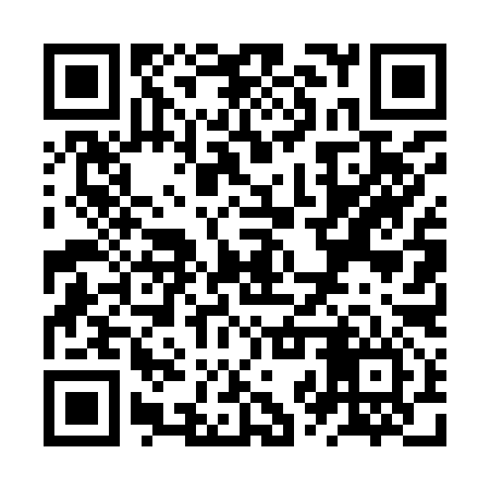 QR code for ZZT996