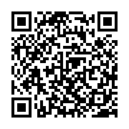 QR code for ZZX870
