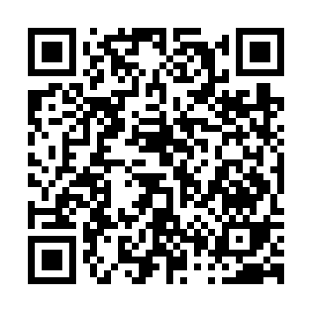 QR code for 009FS