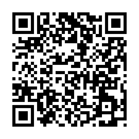 QR code for 009IS